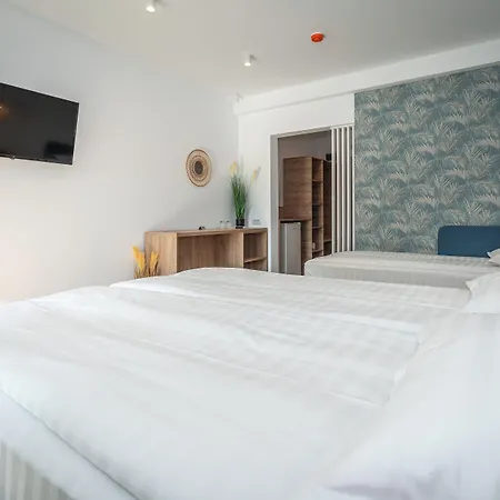 Spot 게스트하우스 4*