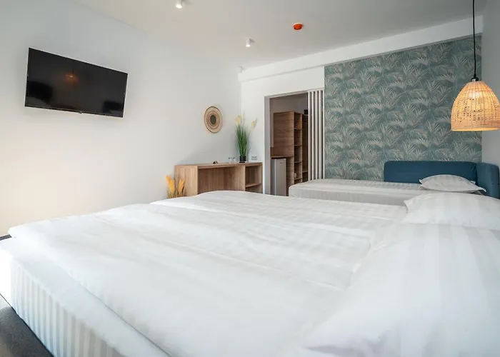 Spot ゲストハウス 4*